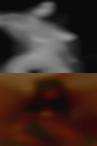 Girl swinger looking for sex women sex group.